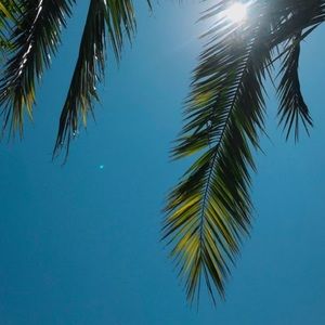 Meet your Posher, Trina